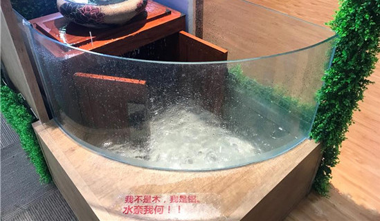 1508730392210066608.jpg 1.jpg