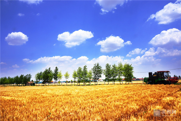 1557970171345047899.jpg 4.jpg