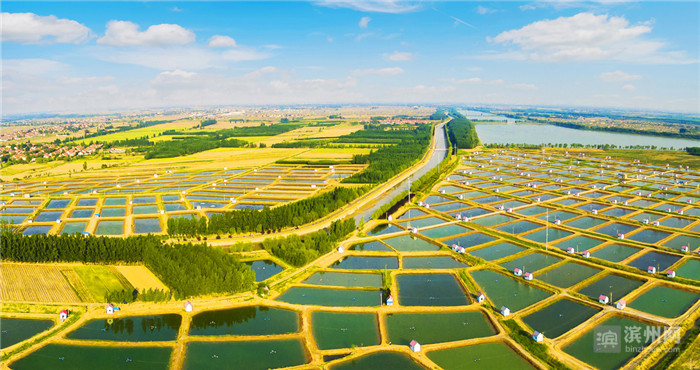 1557970187092037059.jpg 5.jpg