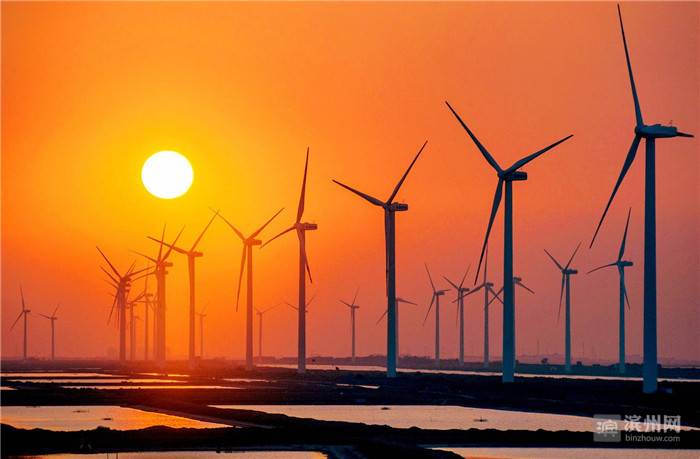 1557970234272073463.jpg 8.jpg