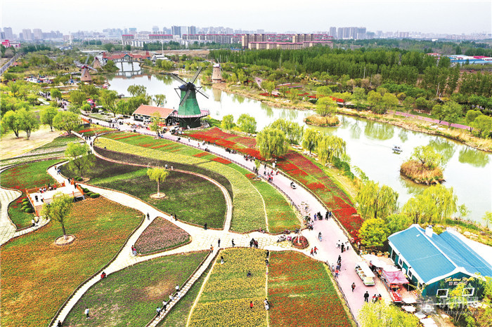 1557970269828079710.jpg 10.jpg