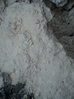 1560131676290026705.png blob.png