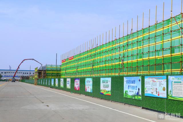 1561444654957076962.jpg 4.jpg