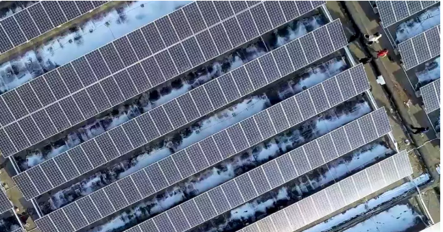 1579414026089001503.png 2.png