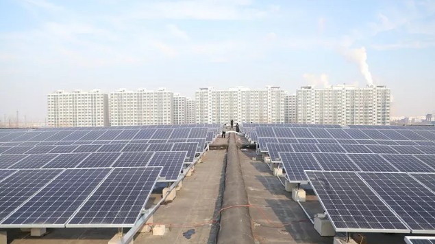 1579414032261016452.png 3.png