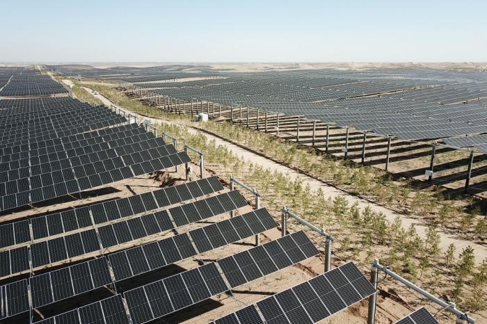 1666053495533055148.jpg 1666028475247683.jpg